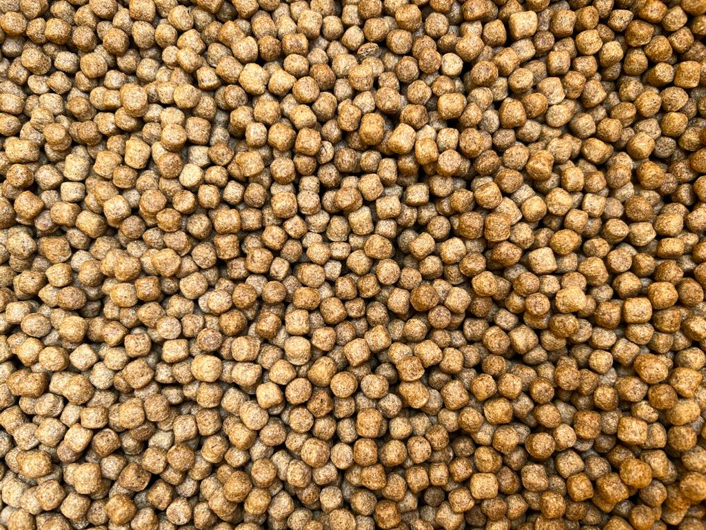 POND PELET EF 6.0 (15 kg)